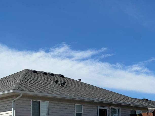 Professional Roofing Services in Ruckersville, VA
